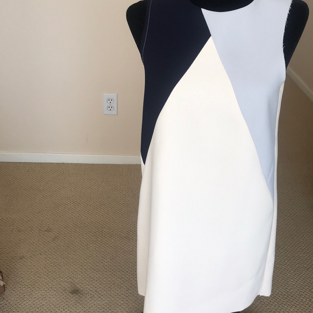 Top Shop Dress